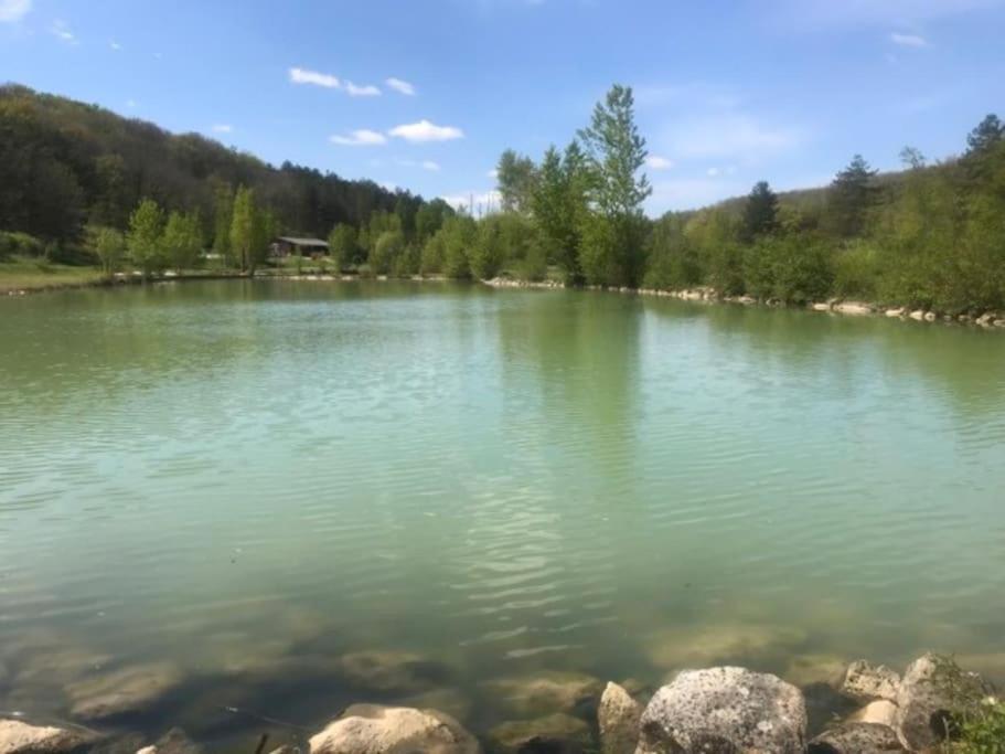 Chalet Au Milieu De La Foret Avec Lac A Proximite Layrac Dış mekan fotoğraf