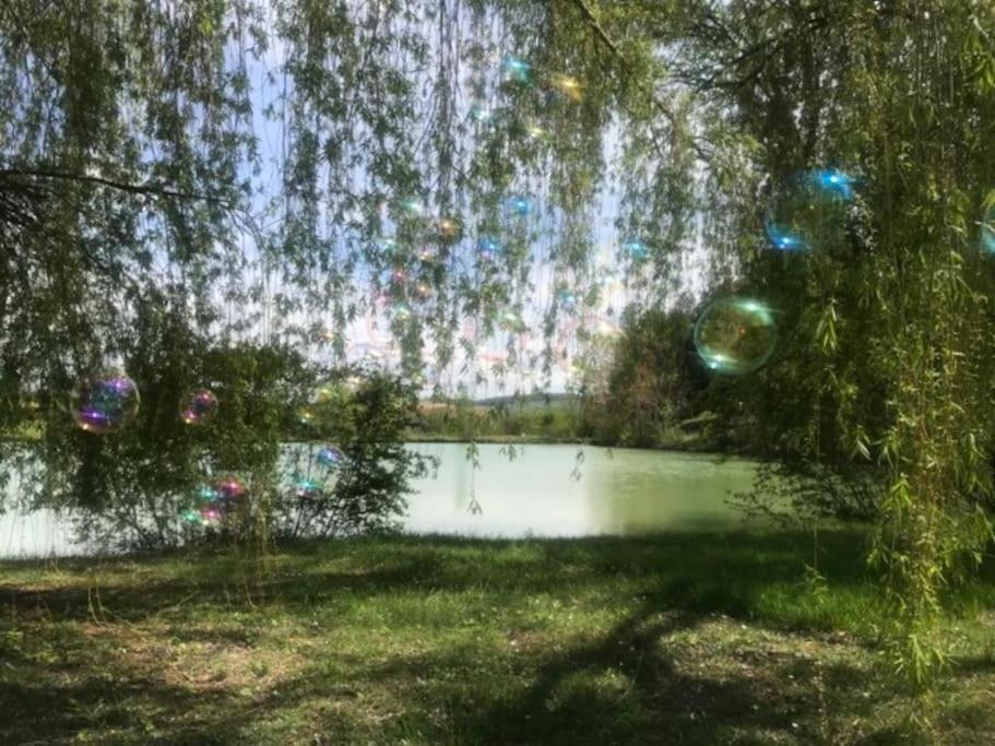 Chalet Au Milieu De La Foret Avec Lac A Proximite Layrac Dış mekan fotoğraf